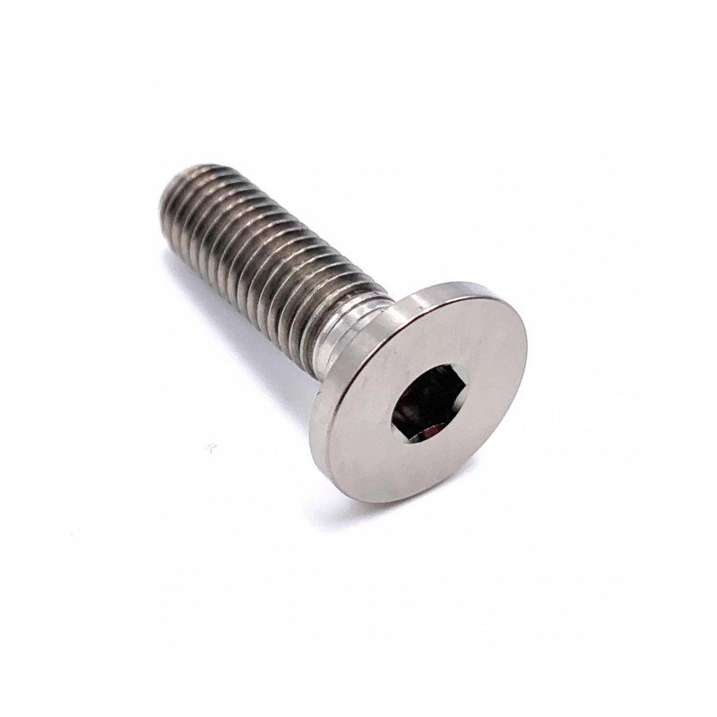 Jeu De 10 Vis Pour Disque De Frein DELPHI BGK005 | Filetage M8x1.25, Longueur 15.7mm, Clé Hex 6mm - Fixation Sûre