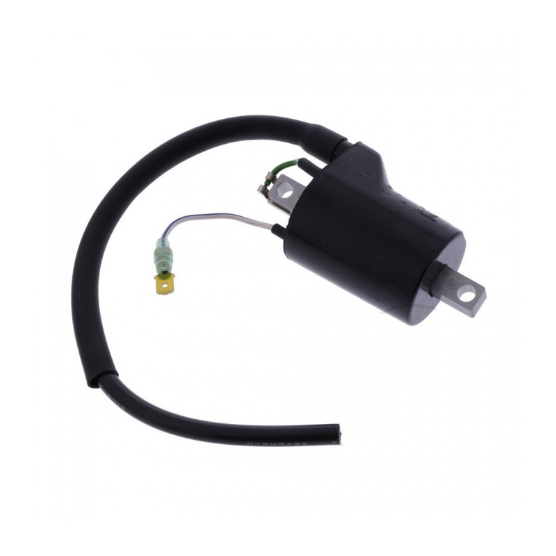 Bobine Allumage – Pour Groupe électrogène STE 2500, KCST 2500/2501, Rotenbach 3 KW | 6,5 CV | Distance Trous 57 Mm