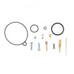 Kit Reparation Carburateur ALL BALLS CAN-AM DS 90 International 10-21