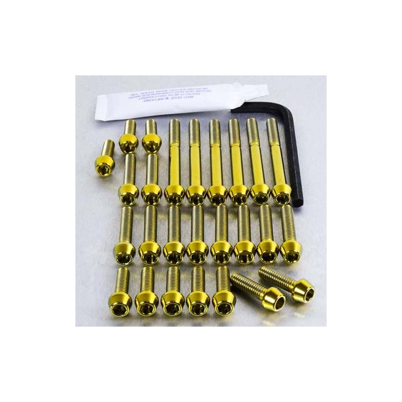 Kit Visserie Moteur Acier Inoxydable Suzuki RGV250 L-R 90-96 19 Pièces Tête BTR Conique