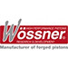 Logo de la marque Wossner